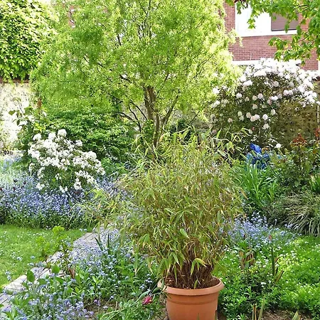 In Normandy Near Pebble Appartement Fécamp