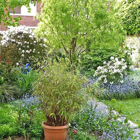 In Normandy Near Pebble